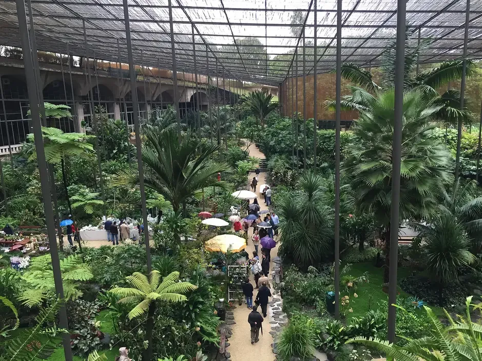 Visitors walking beneath the slatted roof and palms inside the Estufa Fria greenhouse in Lisbon