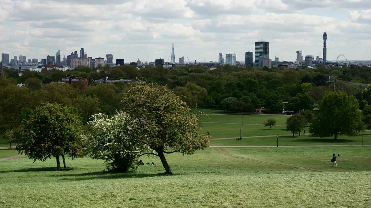 The central London skyline with the BT Tower and the Shard seen over the grass of Primrose Hill