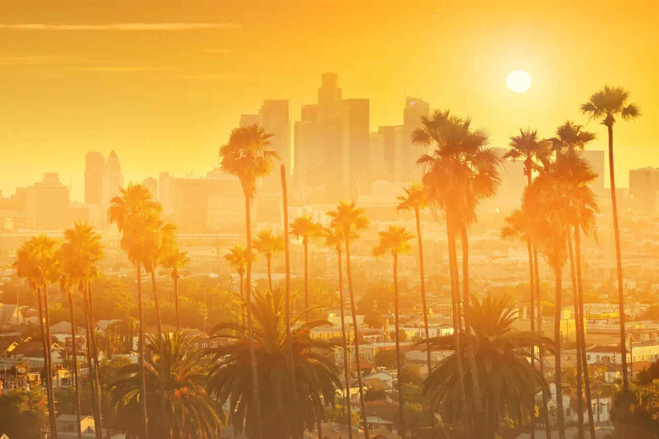 Downtown Los Angeles skyline seen through palm trees at sunset