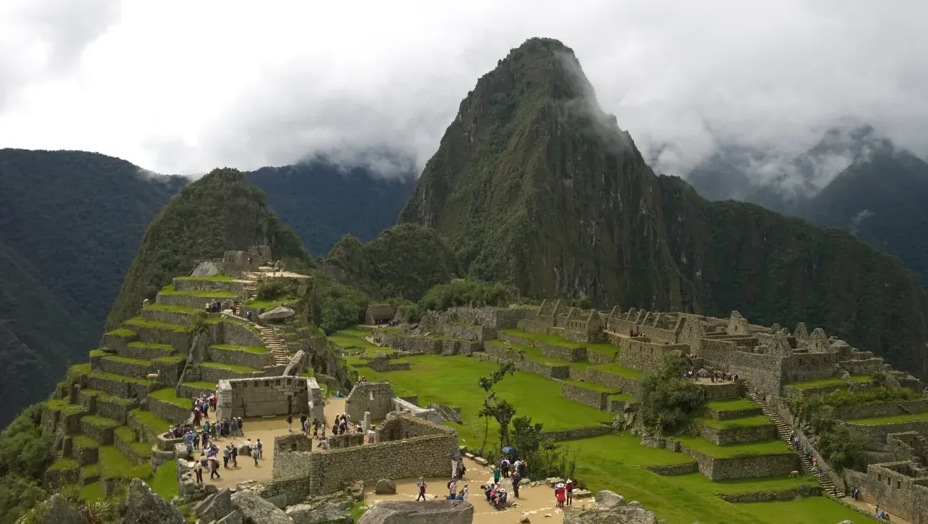A llama grazing at Machu Picchu, Peru