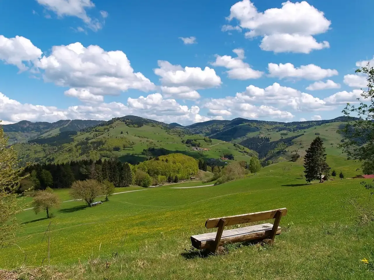 A bench on a meadow above the wooded hills of the Black Forest