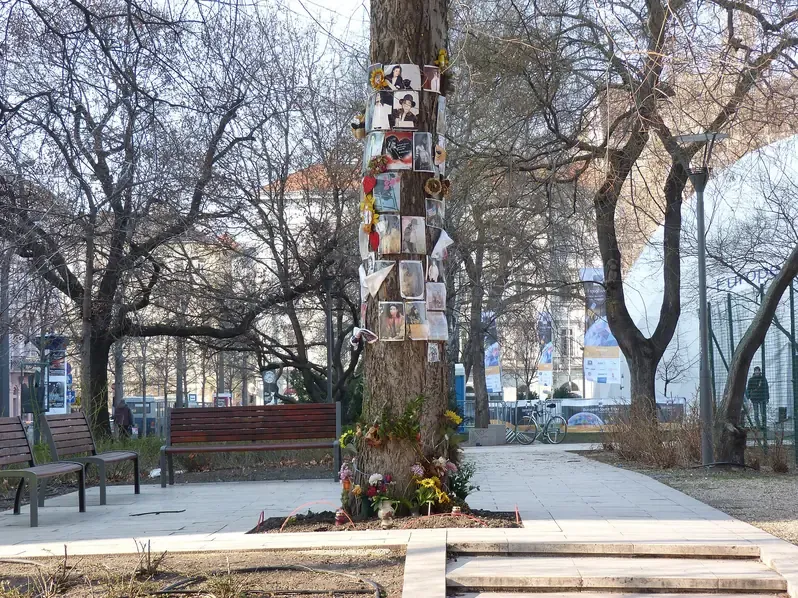 The Michael Jackson memorial tree in Erzsebet Square in Budapest, its trunk covered with photographs and flowers left by fans