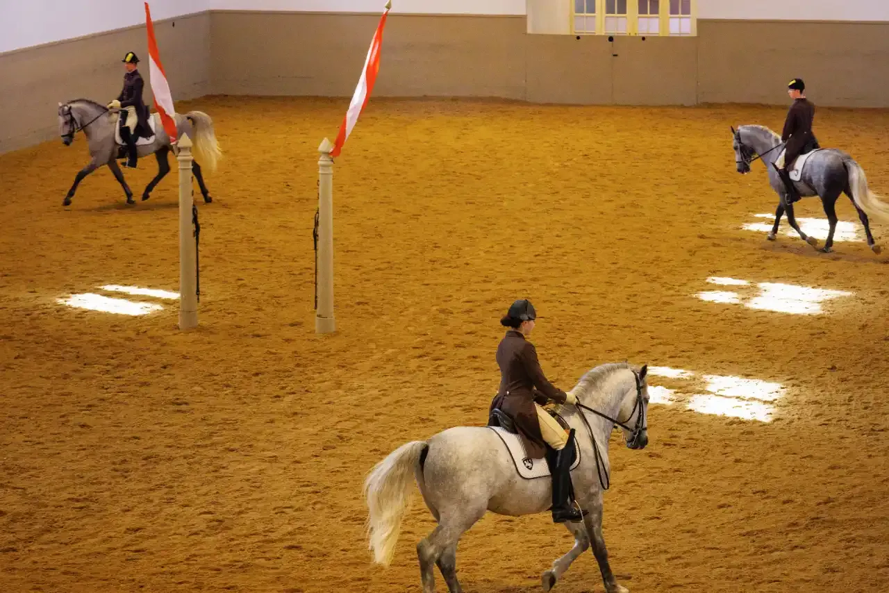 High-angle view of riders practicing classical dressage with Lipizzaner horses in the indoor riding arena