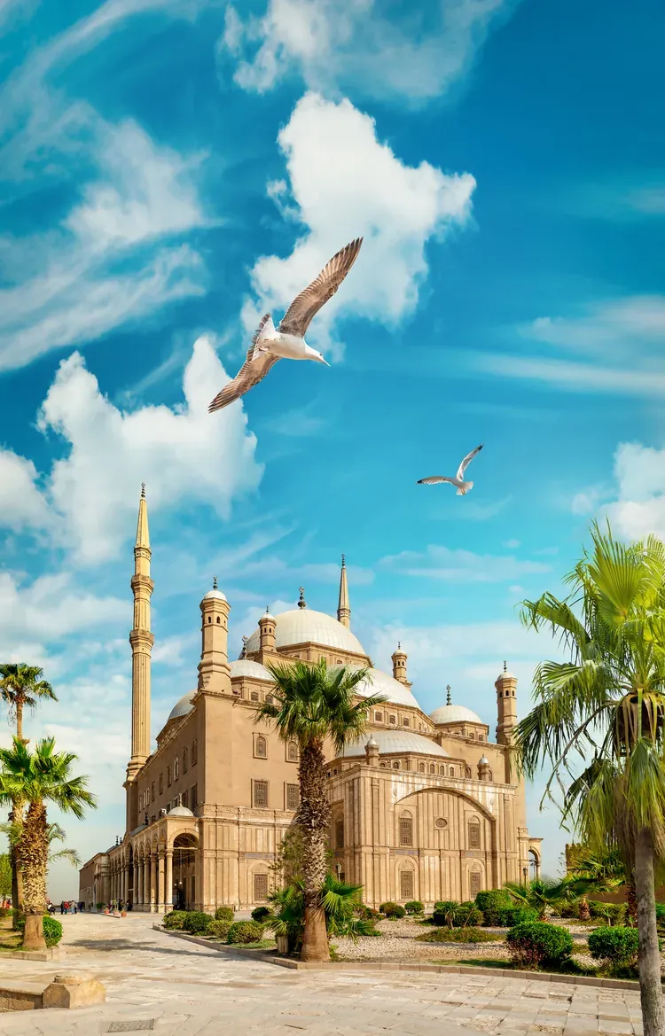 The Mosque of Muhammad Ali at the Cairo Citadel with palm trees