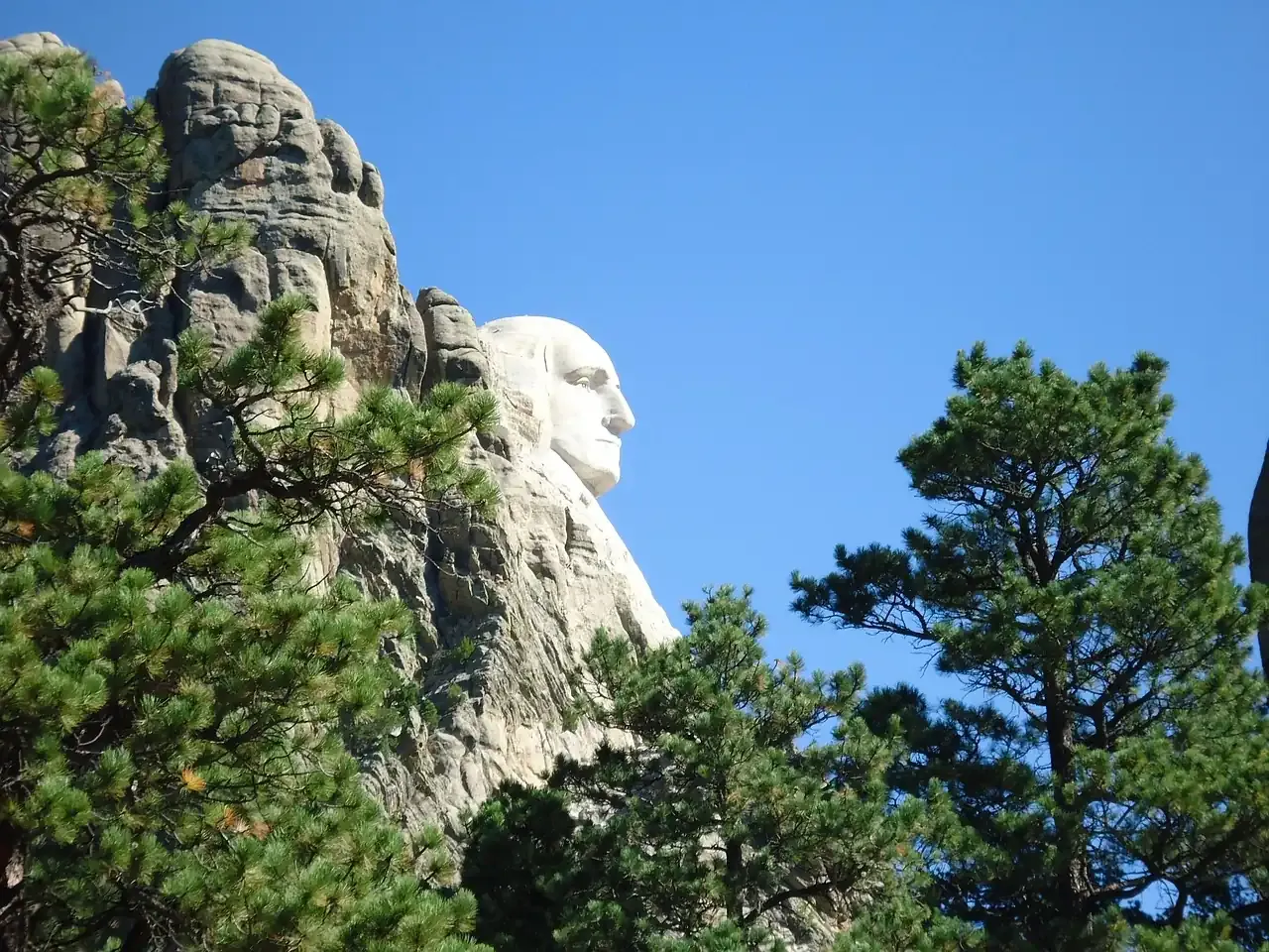 Mount Rushmore above the pines of the Black Hills in South Dakota