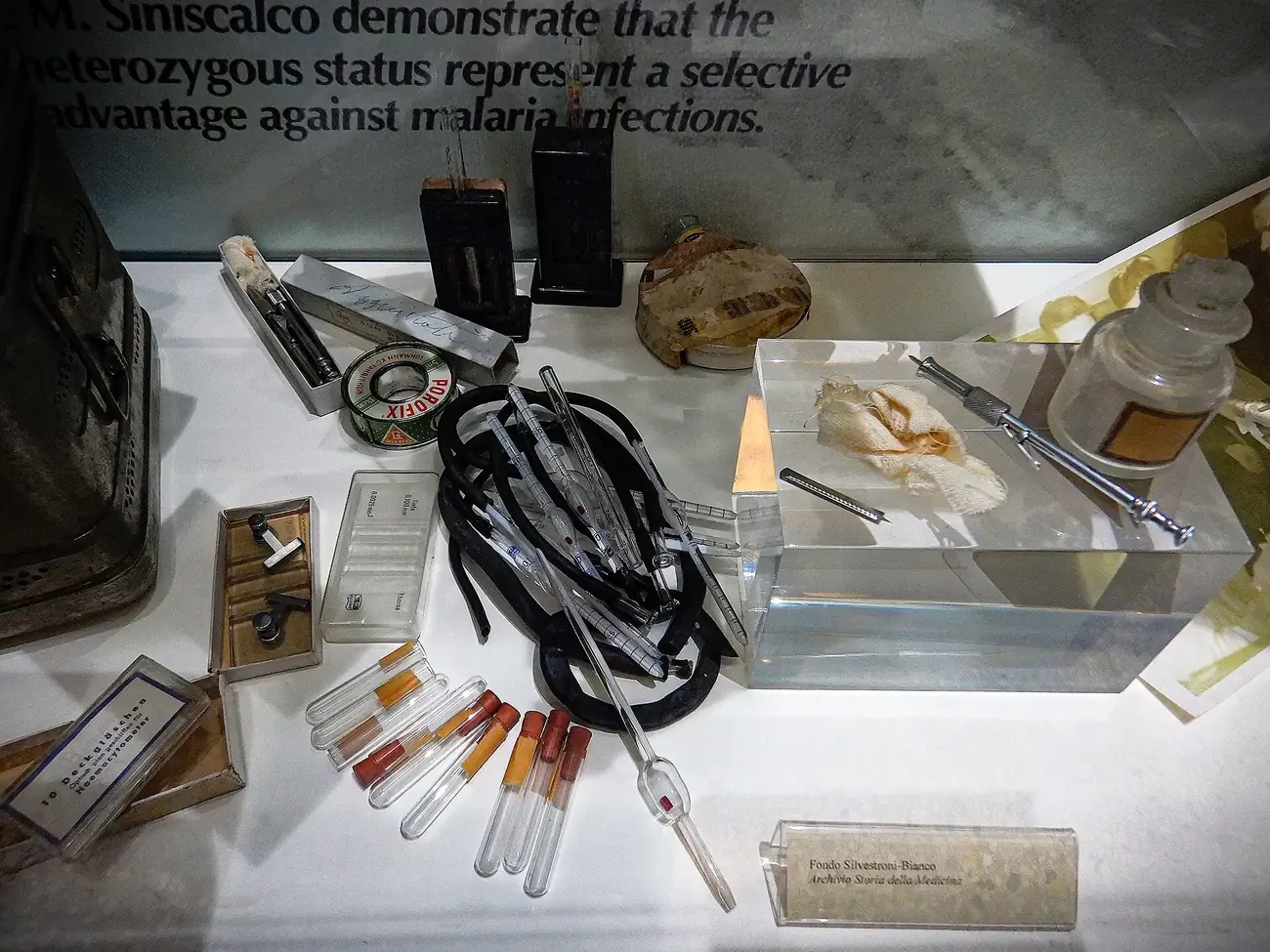 Museum of the History of Medicine in Rome