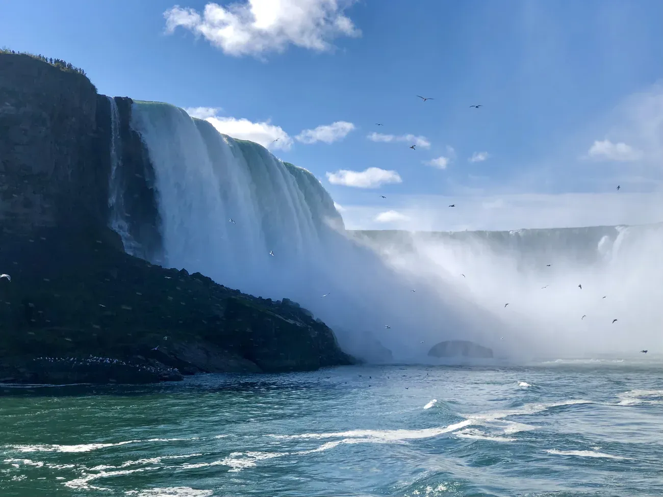 Close-up view of Niagara Falls with birds flying over the water