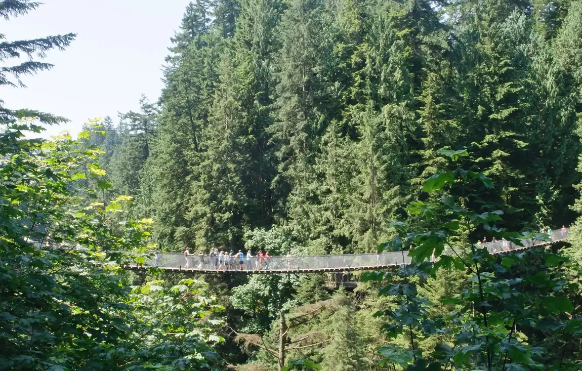Visitors crossing the Capilano Suspension Bridge above the forested canyon in North Vancouver