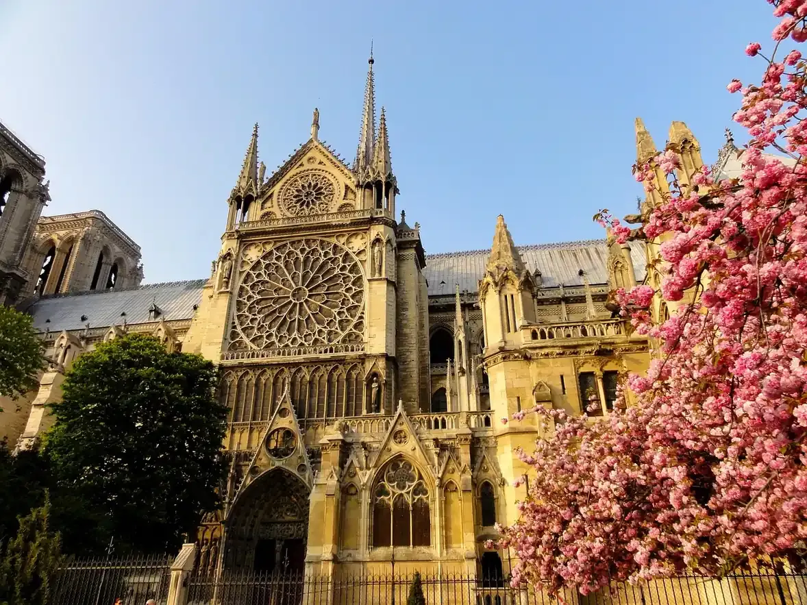 Notre-Dame de Paris framed by spring blossom on the Ile de la Cite