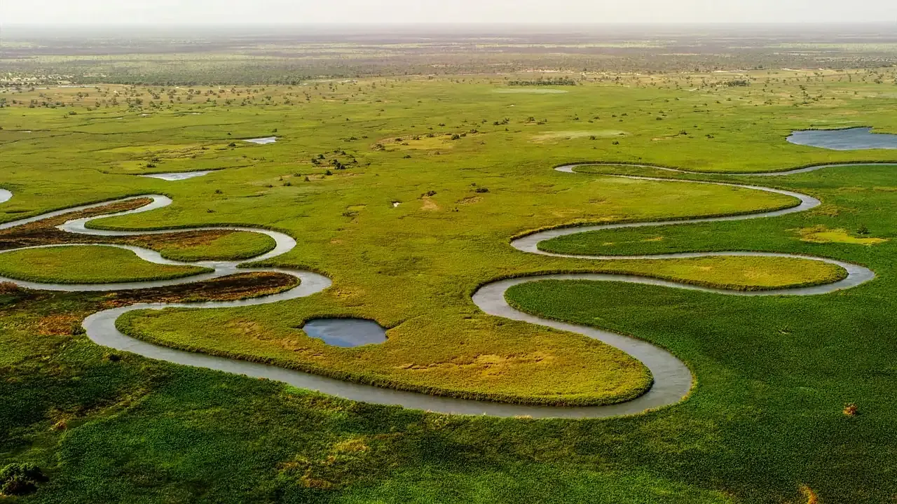 Winding channels of the Okavango Delta seen from the air, Botswana
