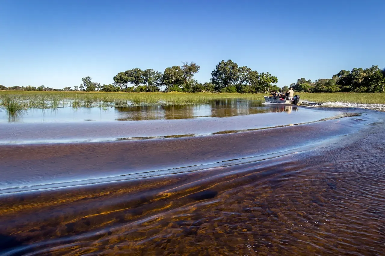 A waterway through the reeds of the Okavango Delta, Botswana