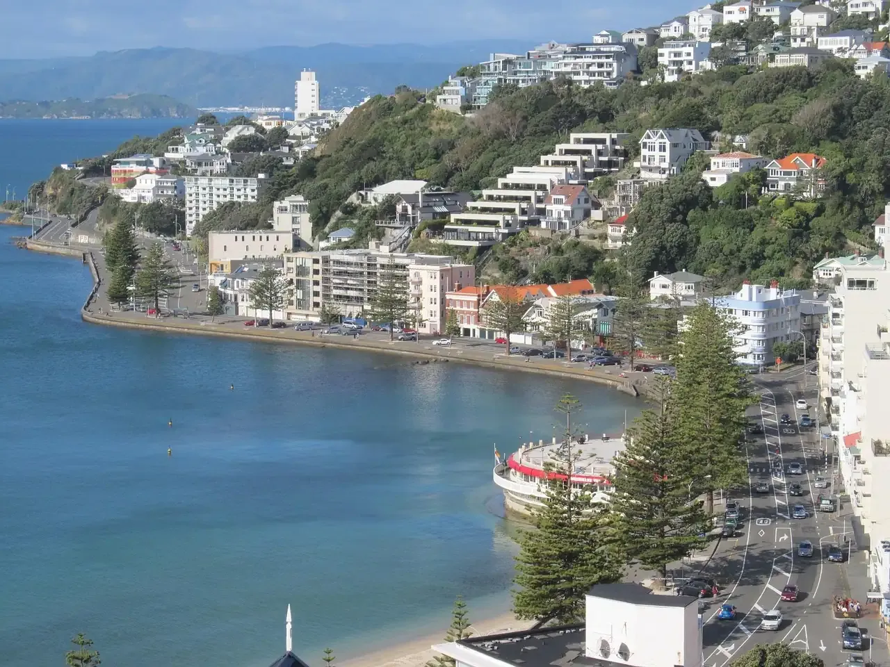 Oriental Bay and the hillside houses of Wellington