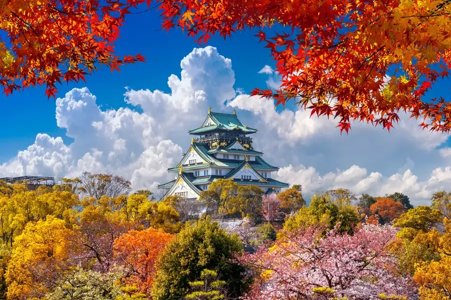 Osaka Castle framed by red autumn maple leaves