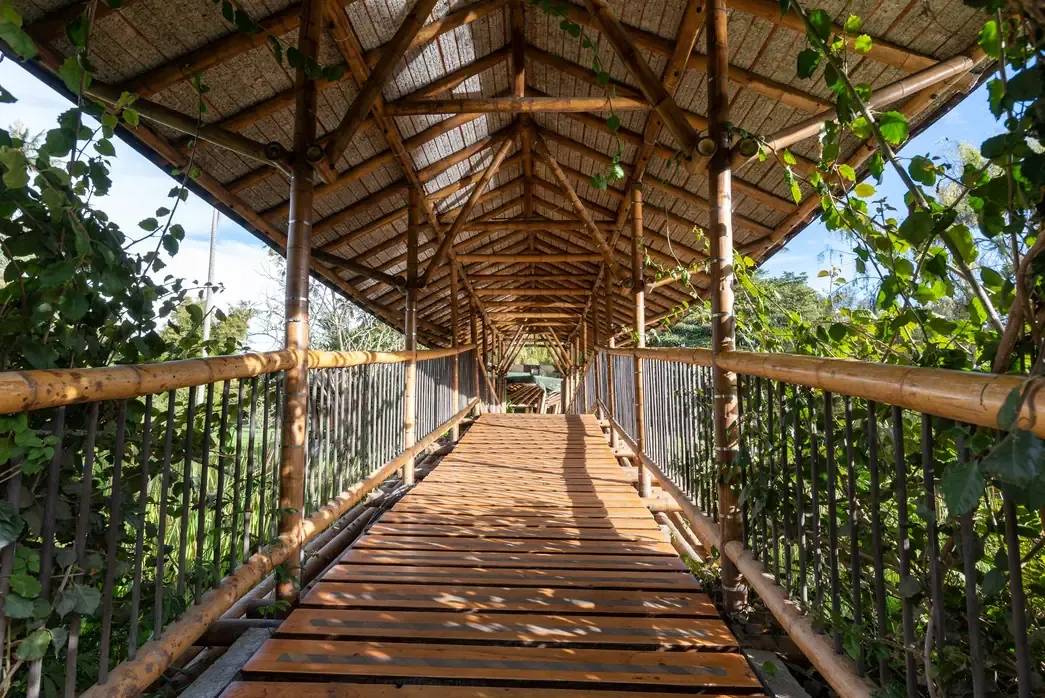 A bamboo covered bridge at Parque Jaime Duque, near Bogota