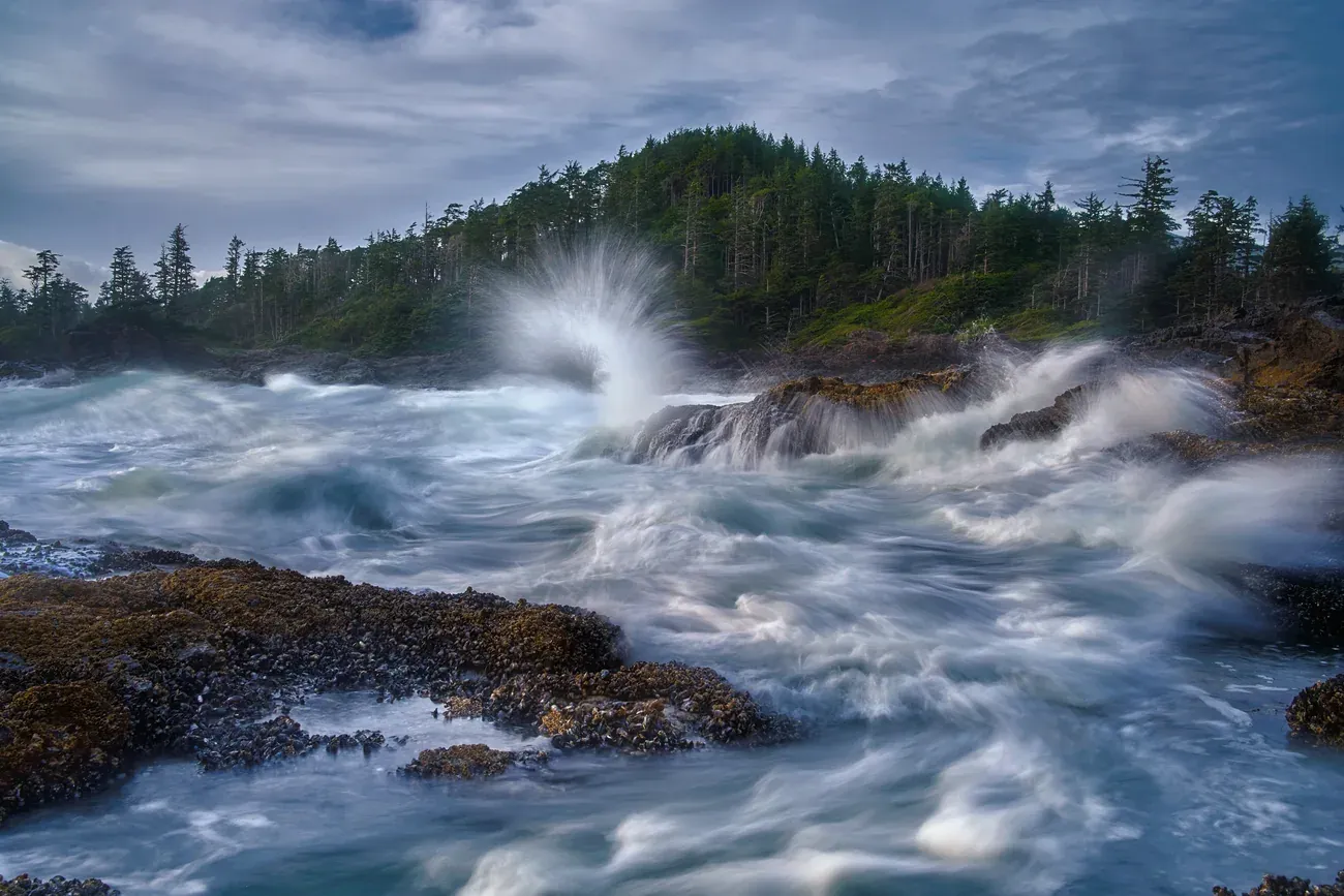 Waves breaking over the rocky shoreline below the conifers at Pettinger Point on Vancouver Island, British Columbia