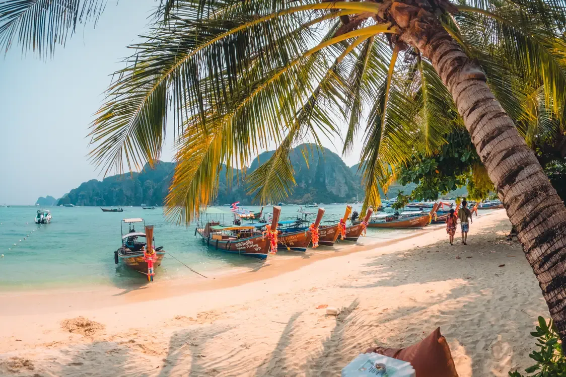 Longtail boats on a palm-fringed beach in the Phi Phi Islands, Thailand