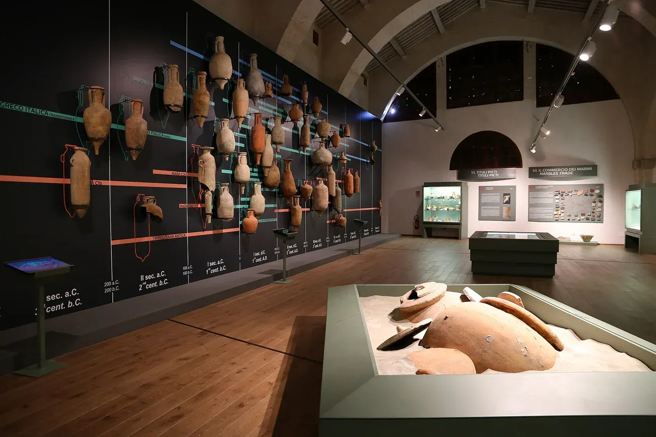 A wall of Roman amphorae on display in the Museum of the Ancient Ships of Pisa