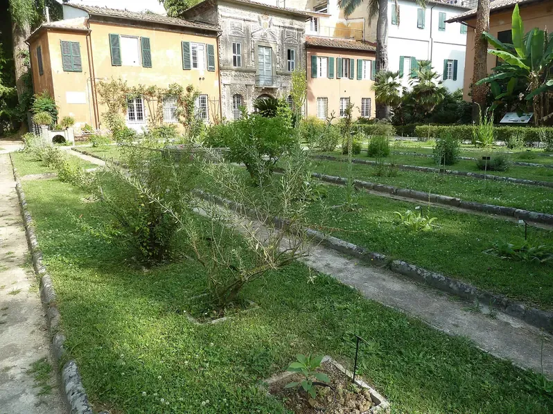 Planted beds in the Orto Botanico of Pisa with old palazzi behind