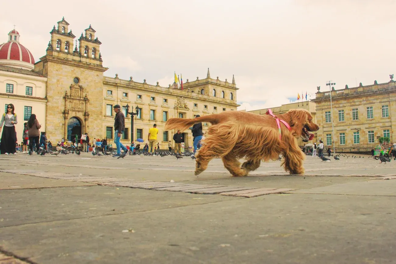 Plaza de Bolivar, the main square of Bogota, Colombia, framed by its historic buildings