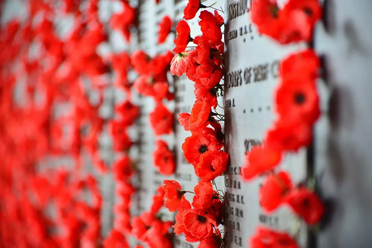 Red poppies left beside the names on the Roll of Honour at the Australian War Memorial in Canberra