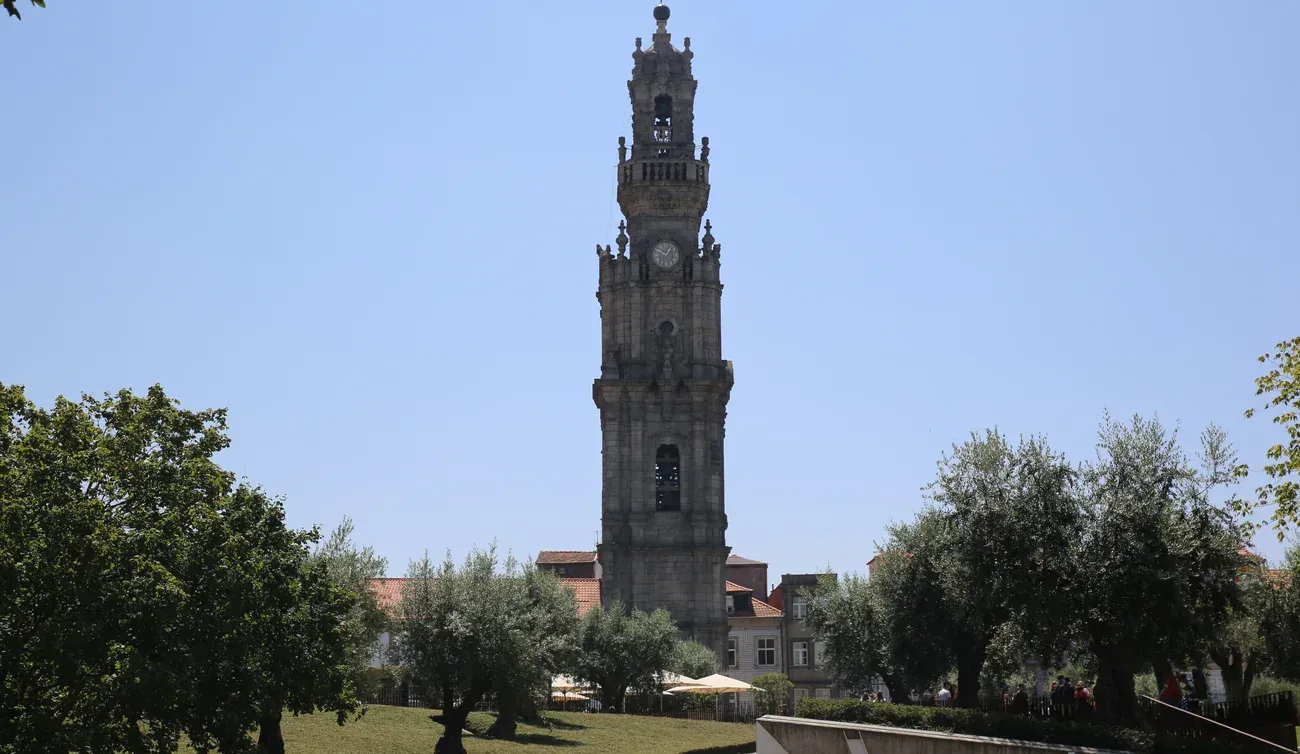 The baroque Clerigos Tower rising over the olive trees of Praca de Lisboa in Porto