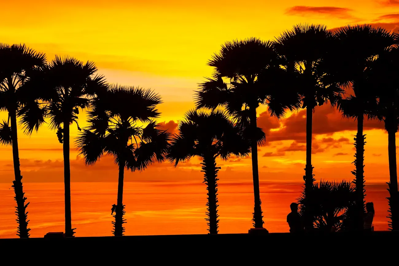 Sunset over the sea and sugar palms at Promthep Cape, Phuket