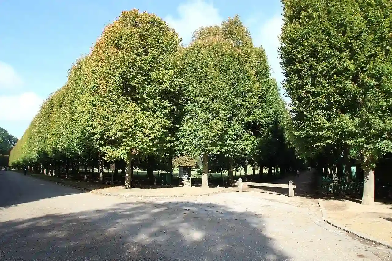 Queen's Gate