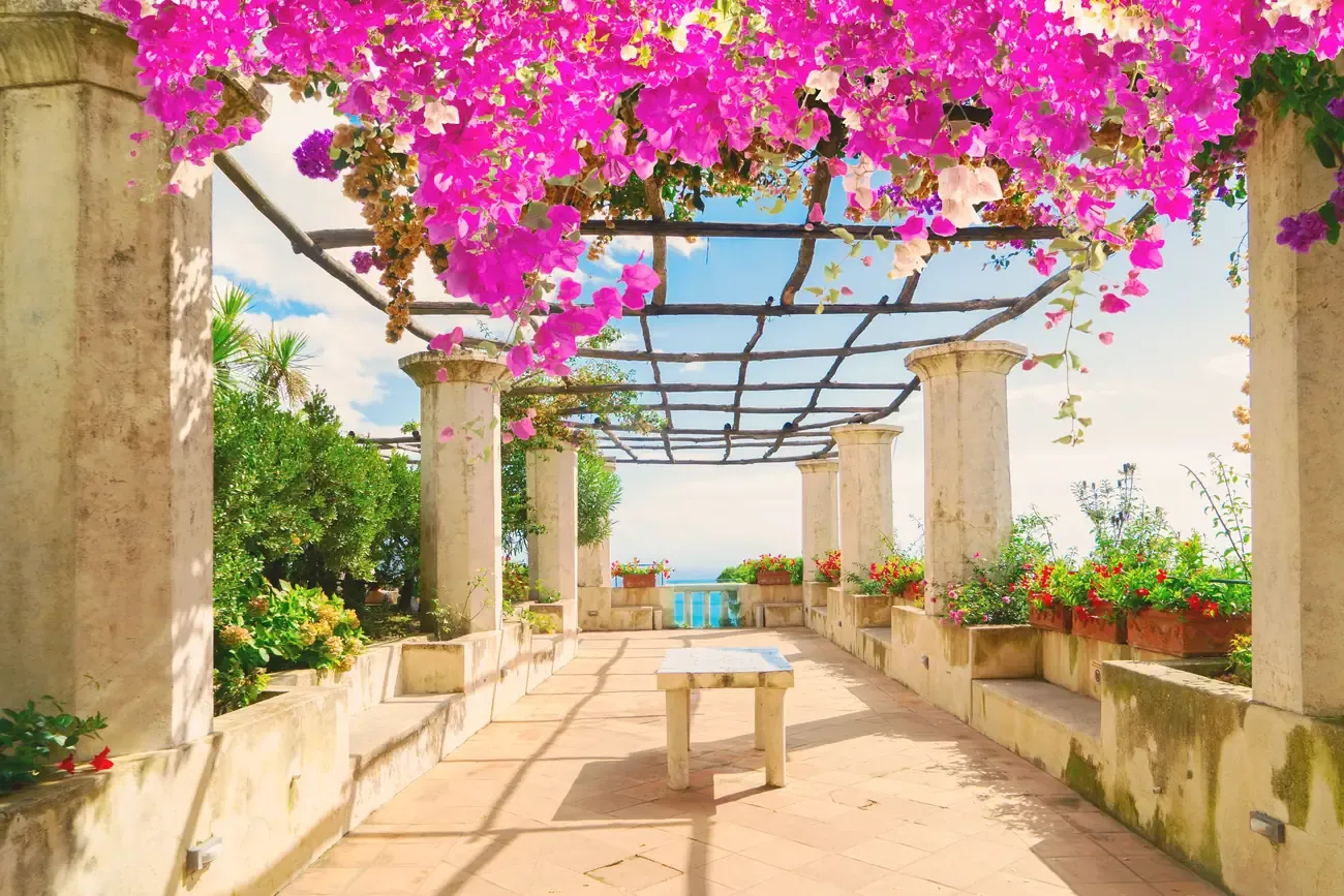 A bougainvillea-covered garden pergola in Ravello, overlooking the sea on the Amalfi Coast