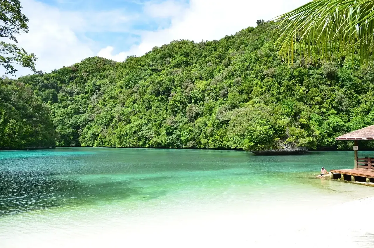The clear lagoon and forested limestone shore of the Rock Islands, Palau