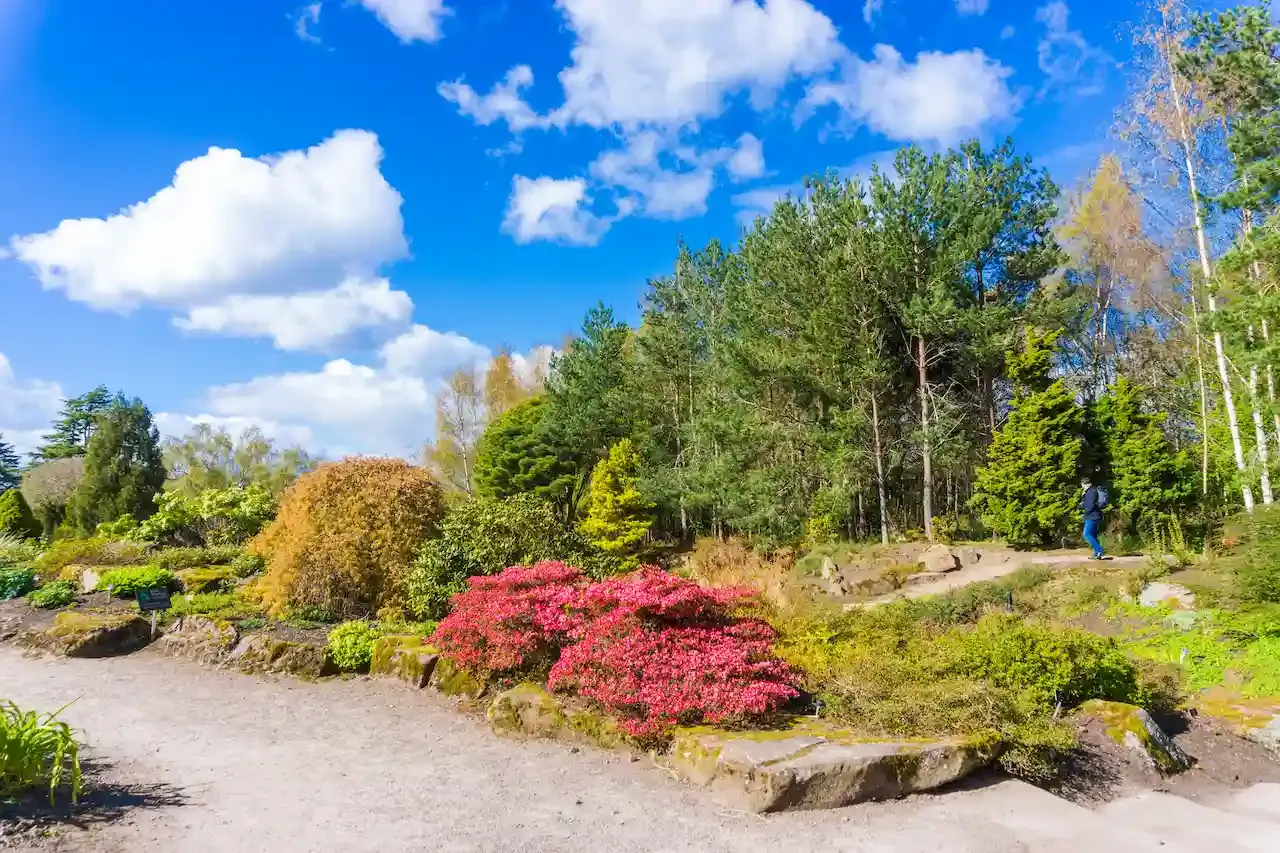 Royal Botanic Garden Edinburgh