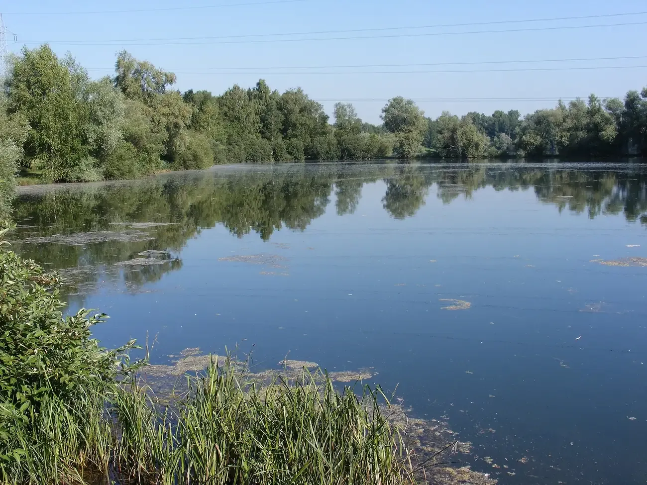 The Salzachsee lake in the Liefering district of Salzburg, framed by trees