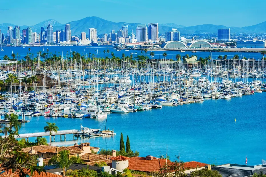 Yachts moored at the marina with the downtown San Diego skyline across the bay