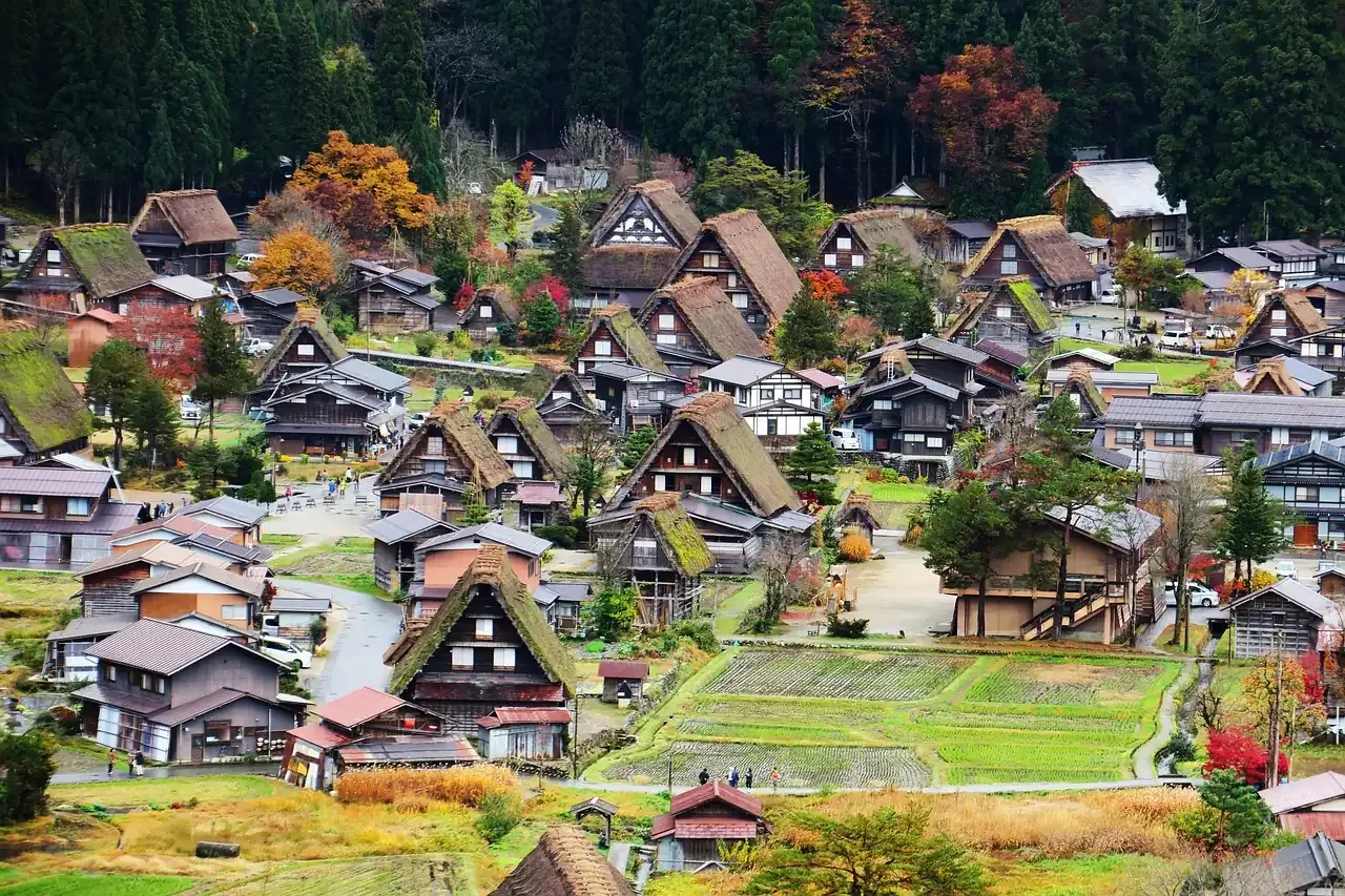 The steep thatched gassho farmhouses of Shirakawa-go in autumn, Gifu prefecture