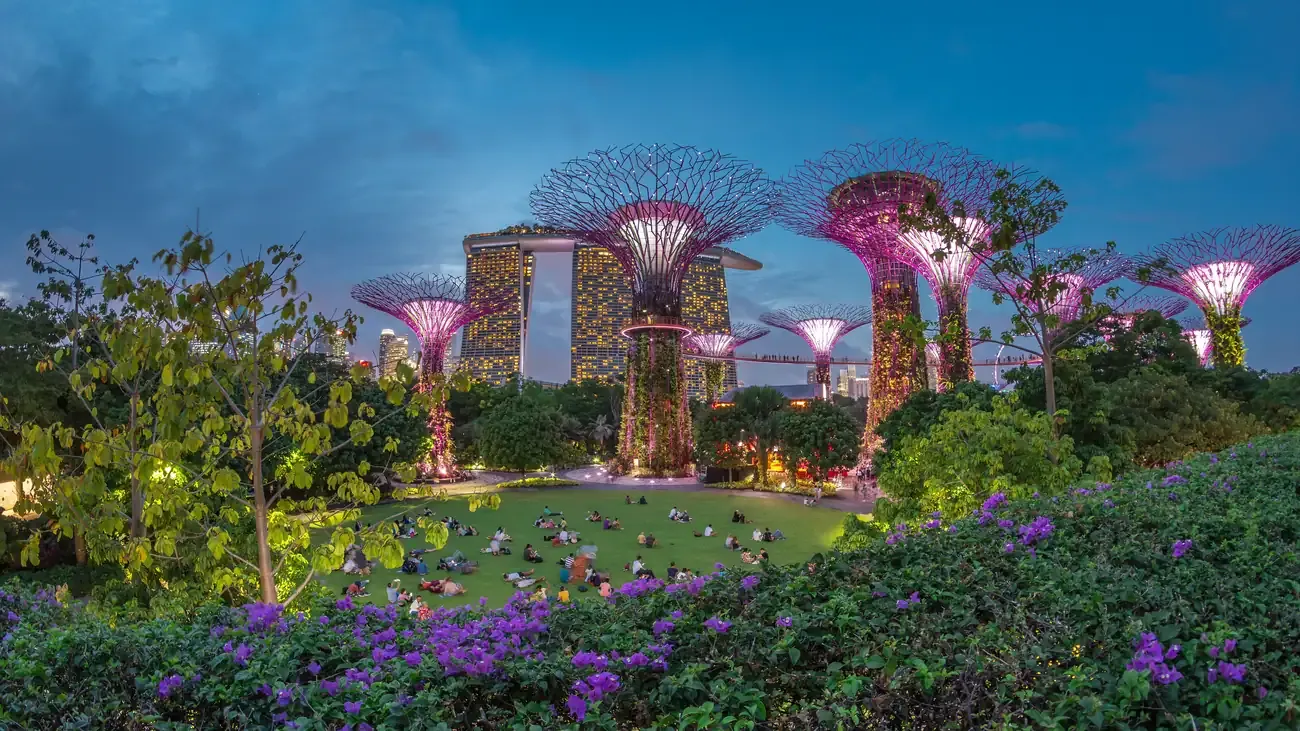 The illuminated Supertree Grove at Gardens by the Bay in Singapore after sunset