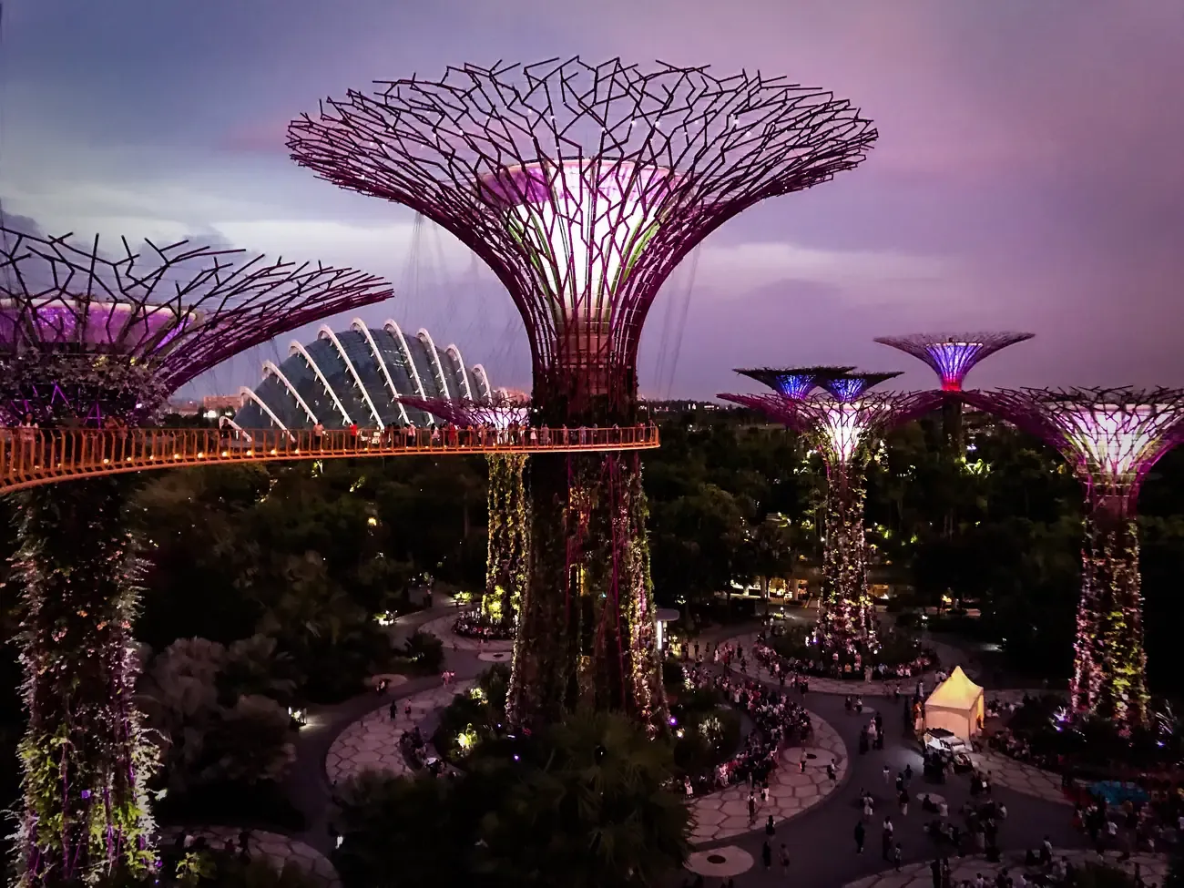 Illuminated Supertrees and the elevated walkway of the Supertree Grove at Gardens by the Bay, Singapore, at dusk