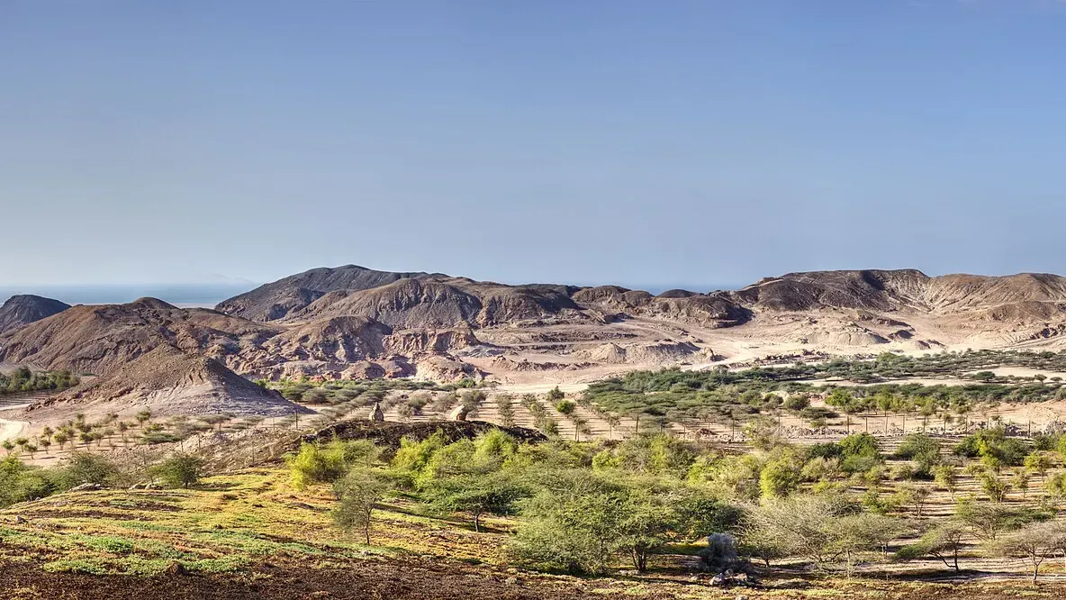 The dry landscape of Sir Bani Yas island off the western coast