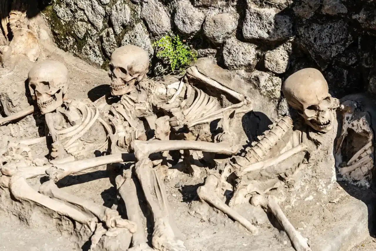Skeletons in Herculaneum