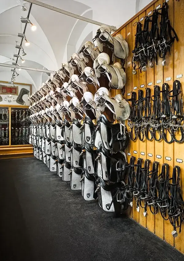 Tack room at the Spanish Riding School featuring classical dressage saddles and bridles neatly arranged