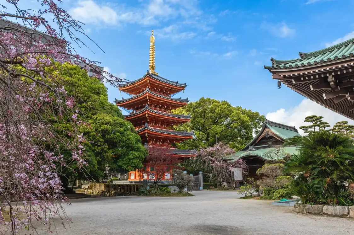 The five-story pagoda of Tochoji temple among cherry blossoms, Fukuoka