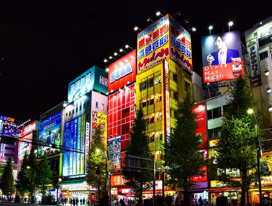 The neon signs and electronics stores of Akihabara Electric Town in Tokyo at night