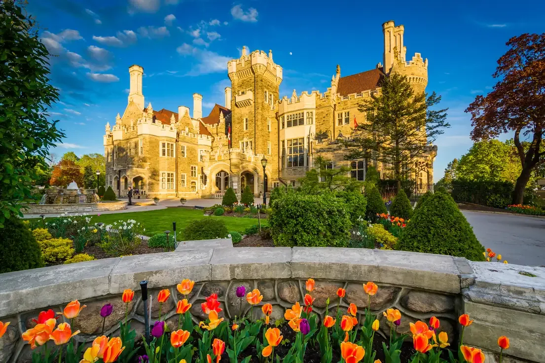 Tulips in bloom in front of the Casa Loma castle in midtown Toronto