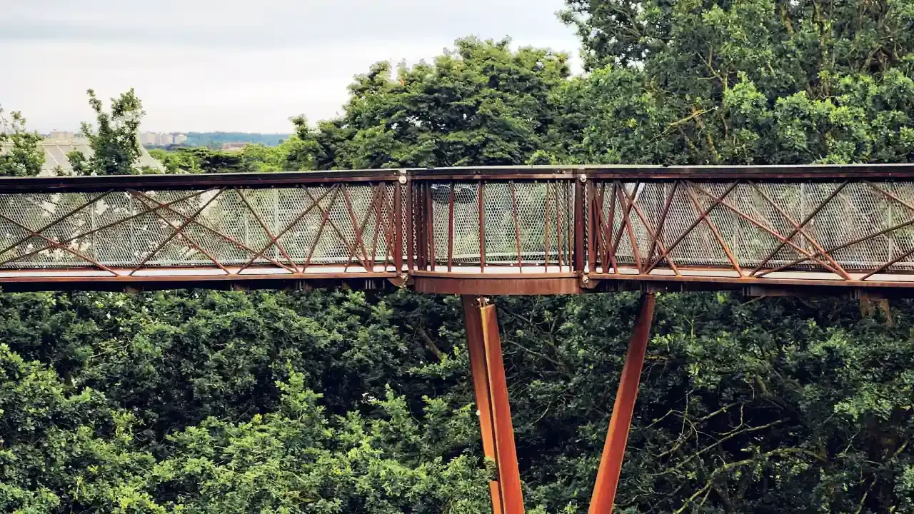 Treetop Walkway