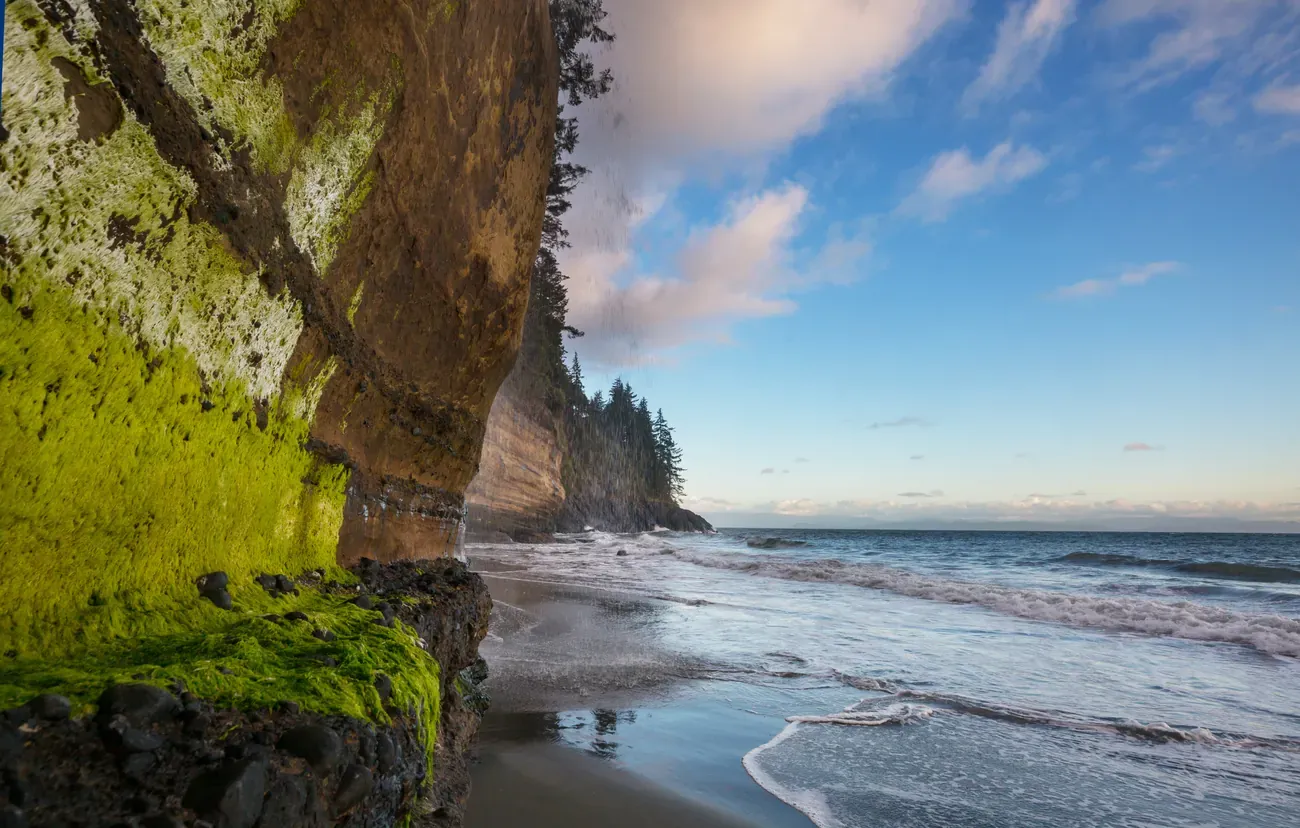 Moss-covered overhanging sandstone cliff above a wave-washed beach on the Pacific coast of Vancouver Island