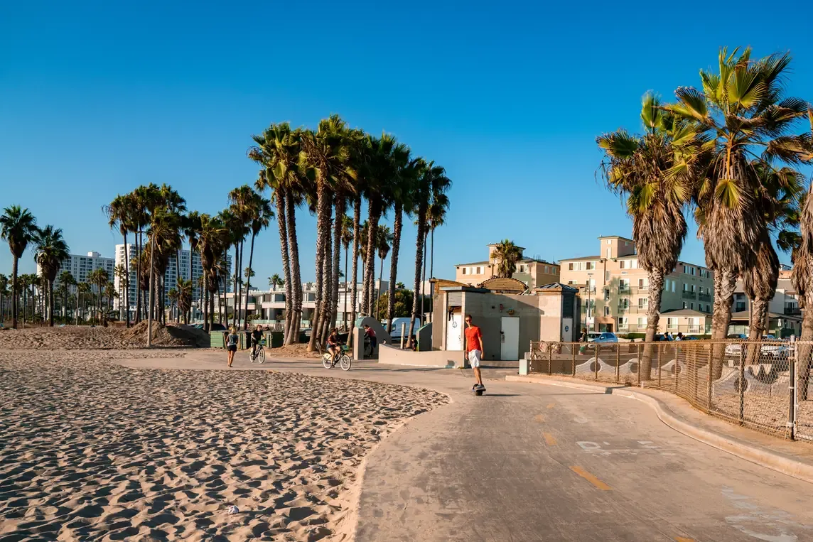 Palm trees along the Venice Beach boardwalk in Los Angeles