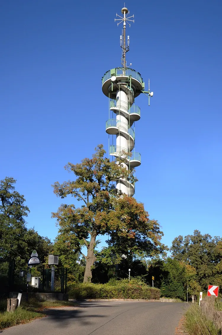 The spiral staircase of the Jubilaumswarte lookout tower rising above the woods in Vienna