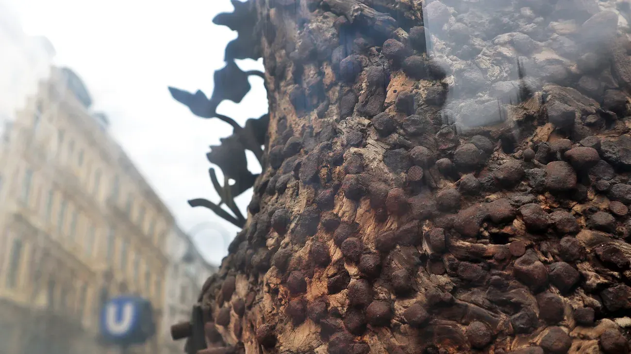 Close-up of the nail-studded medieval tree trunk of the Stock-im-Eisen behind its glass case in Vienna