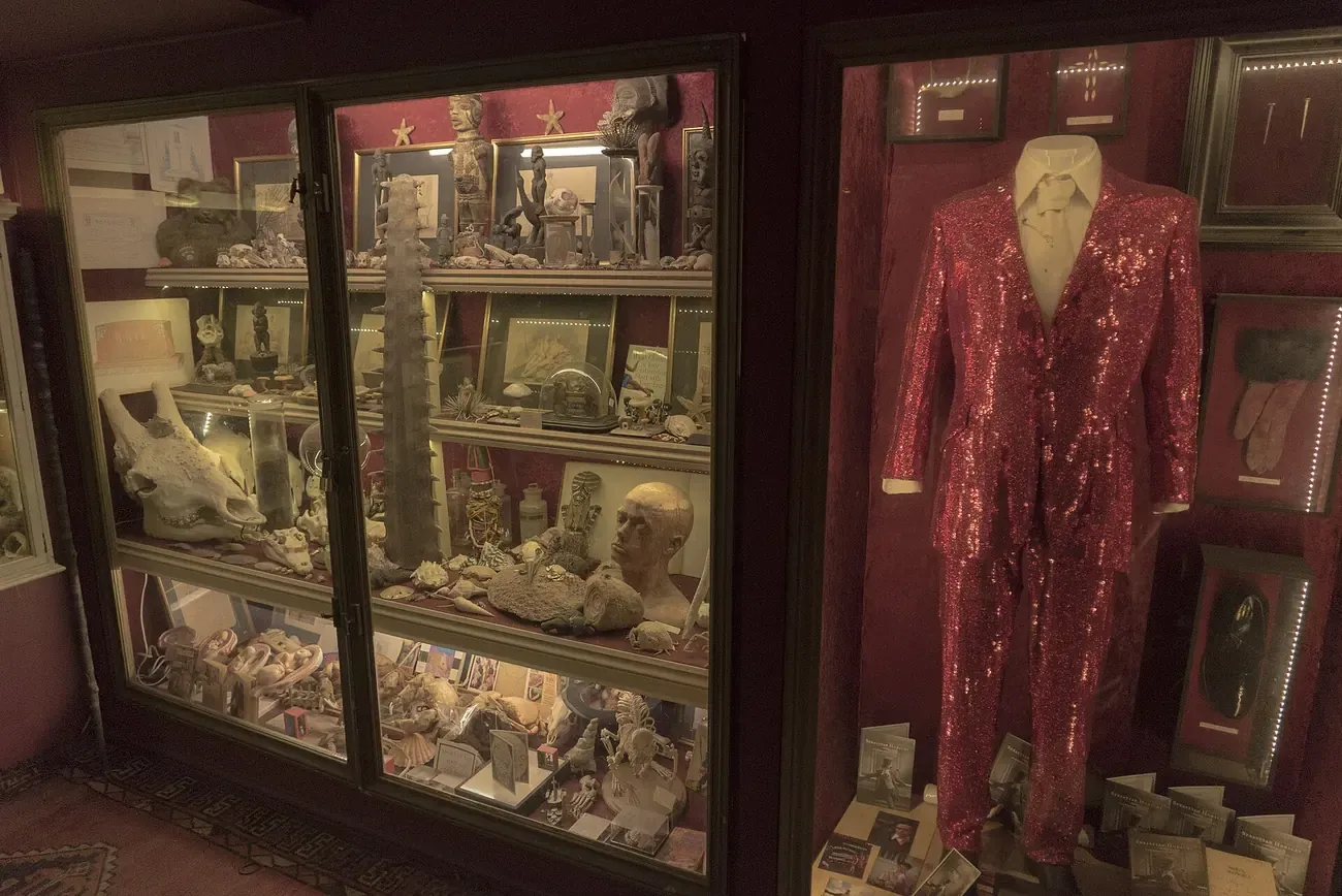 Cabinets of curiosities at the Viktor Wynd Museum in east London