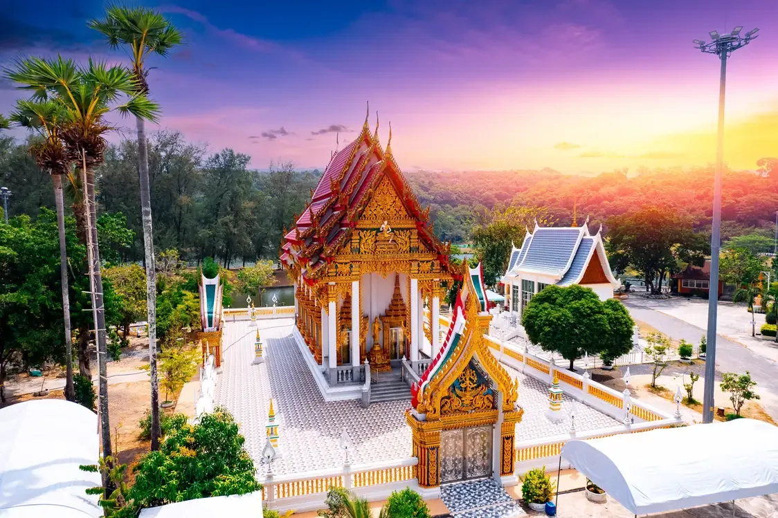 A golden Thai temple with tall palms at sunset, Phuket