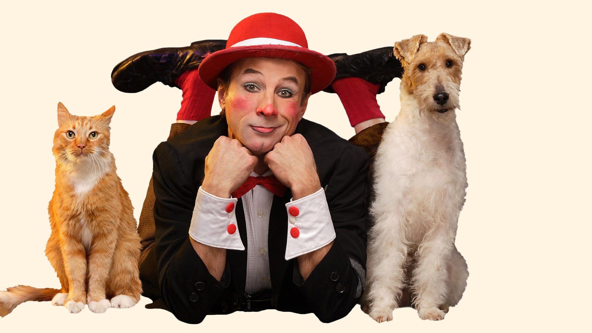 Popovich Comedy Pet Theater at V Theater at Planet Hollywood Inside the Miracle Mile Mall