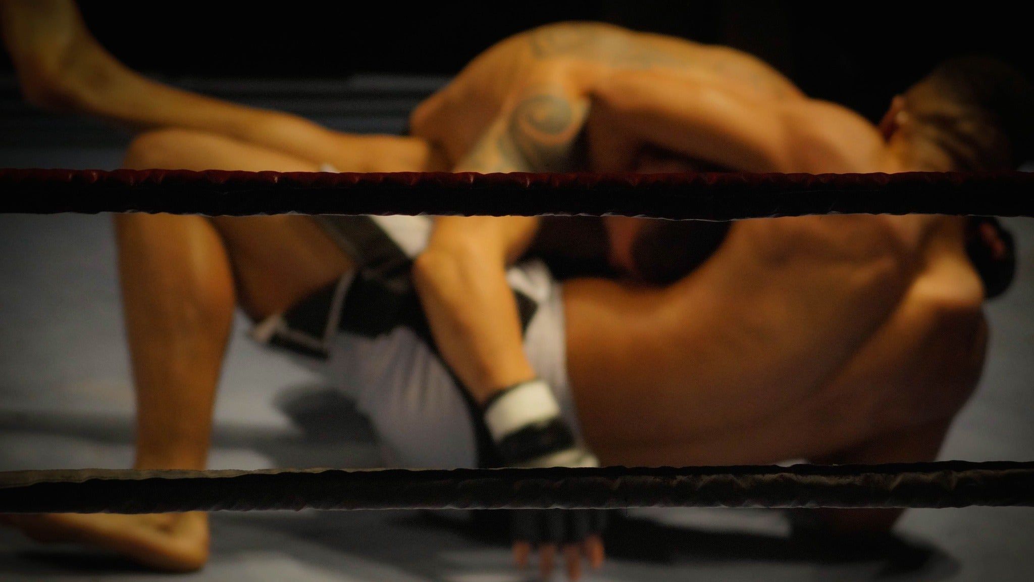 Package Experience Hexagone Mma - Paris 18/09/2026 at Zenith Paris - la Villette